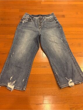 Judy Blue Light Blue High-Rise Button-Fly Jeans - Size 14W
